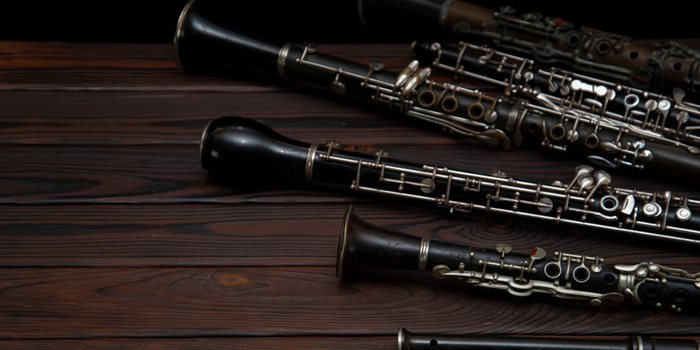Maintaining Woodwind Instruments