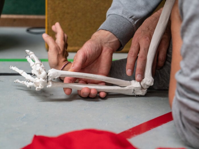 A Feldenkrais demonstration taking place, where the arm of a model skeleton is held up in the same pose as the arm of a demonstrating participant