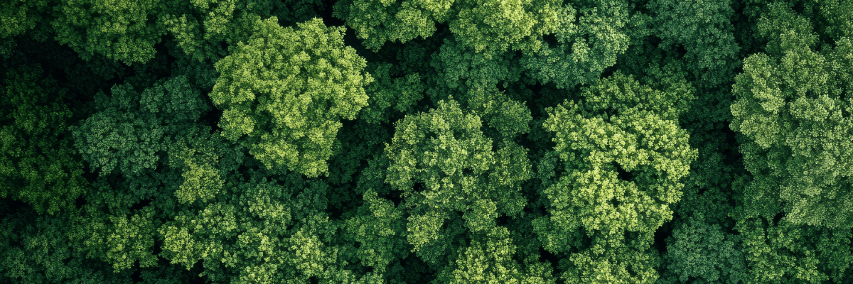 Play It Green: Climate Action for Musicians
