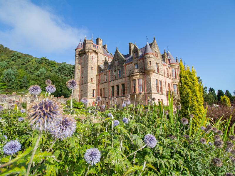 Photograph of Belfast Castle, seen through the flowers in bright sunshine.