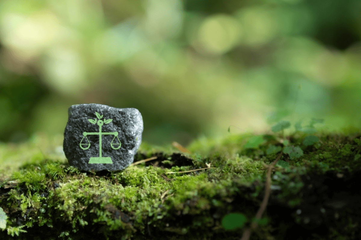 Bridget Walsh on the Intersection of Music and Climate Justice