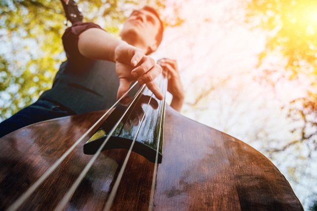 Photograph of a musician playing an acoustic double bass outdoors. The camera is looking up the double bass' neck from below, and the musician is looking away with a concentrated expression.
