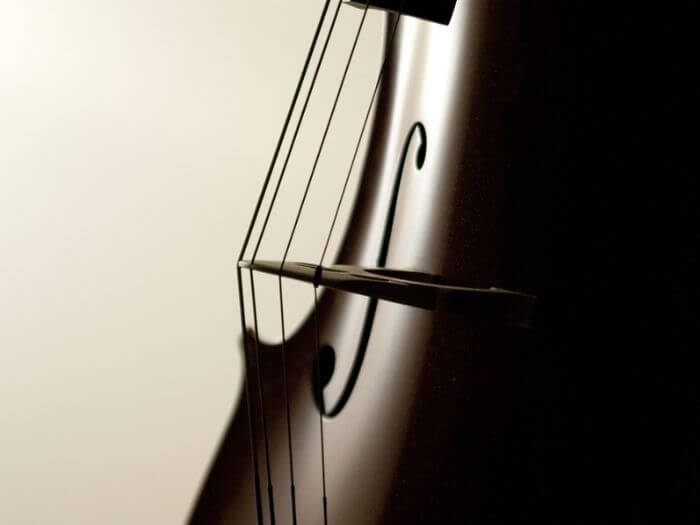 Close up of Cello strings.