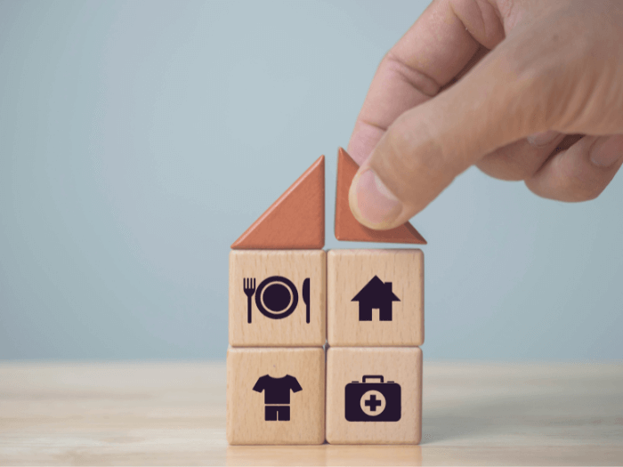 Wooden blocks making the shape of a house, featuring images for clothing, housing, food and medical items, representing the building blocks of essential daily life.
