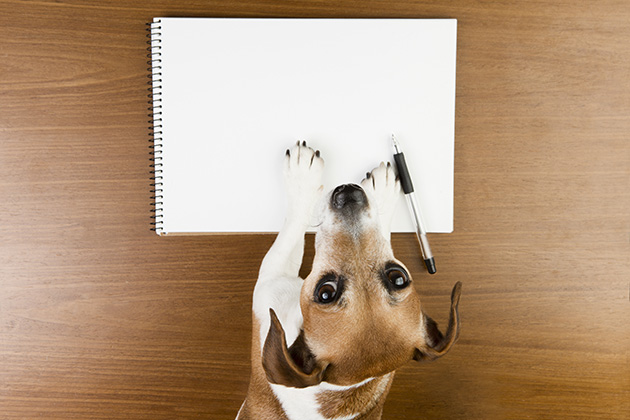 Photograph of small dog writing in a letter. Photo credit: Shutterstock