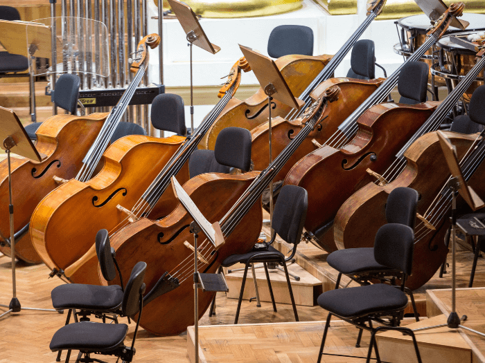 Old bass viols on stage.