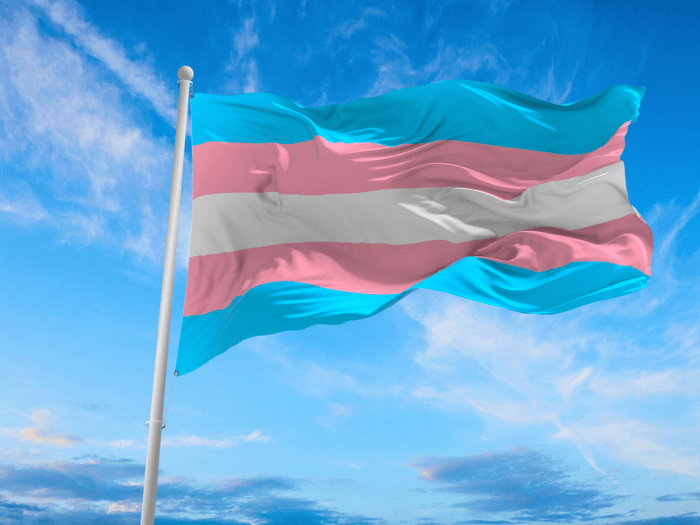 A large trans flag on a metal pole blowing in the wind with a bright blue sky in the background.