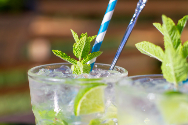 Photograph of two drinks with ice, limes and mint. They appear to be set outside, with sun shining on them.