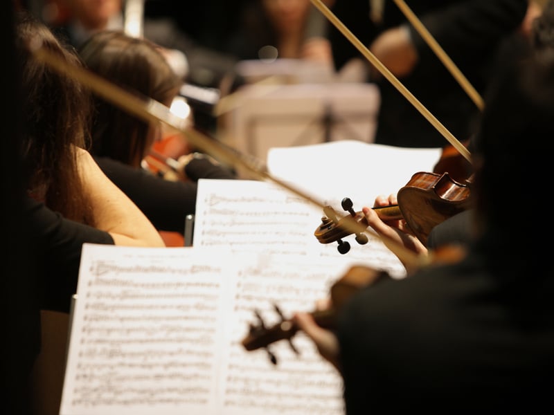 Photograph from the back of a string section in an orchestra, looking forward across scores and players holding violins.