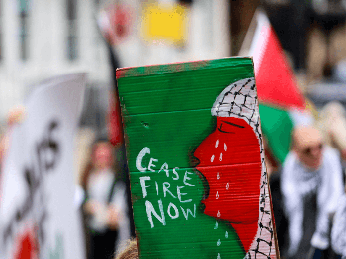A handmade sign painted in the Palestinian flag colours with text that says 