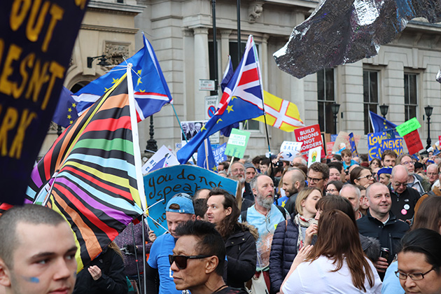 An assortment of protesters waving flags