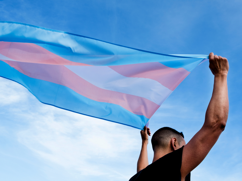 Photograph of a person holding up a trans pride flag (blue, pink and white) which is floating out behind them against a bright blue sky.