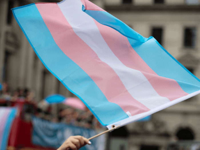 Blue. pink and white transgender flag, being waved at a parade.