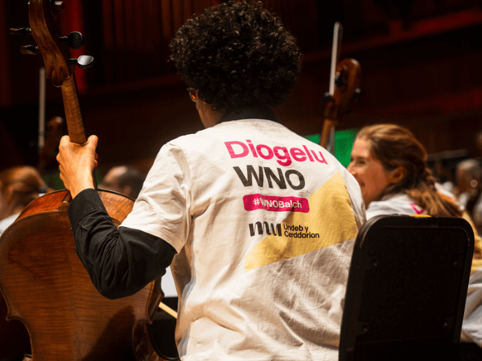 An orchestra player from behind, in the pit, playing an instrument. They are wearing a white M U campaign t-shirt that says ‘Protect WNO’ in Welsh.