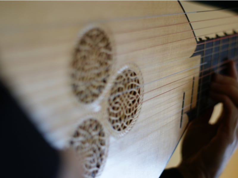 Photograph of a lute, close up.