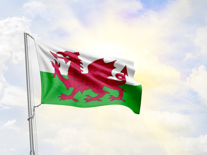 The Welsh flag against a light blue sky.