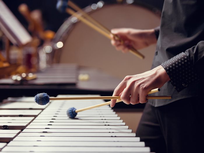 musician playing the vibraphone