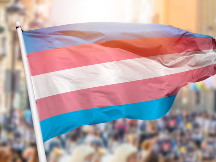 The trans flag, with its blue, pink, white, pink, blue horizontal stripes waves above a crowded but blurred background.